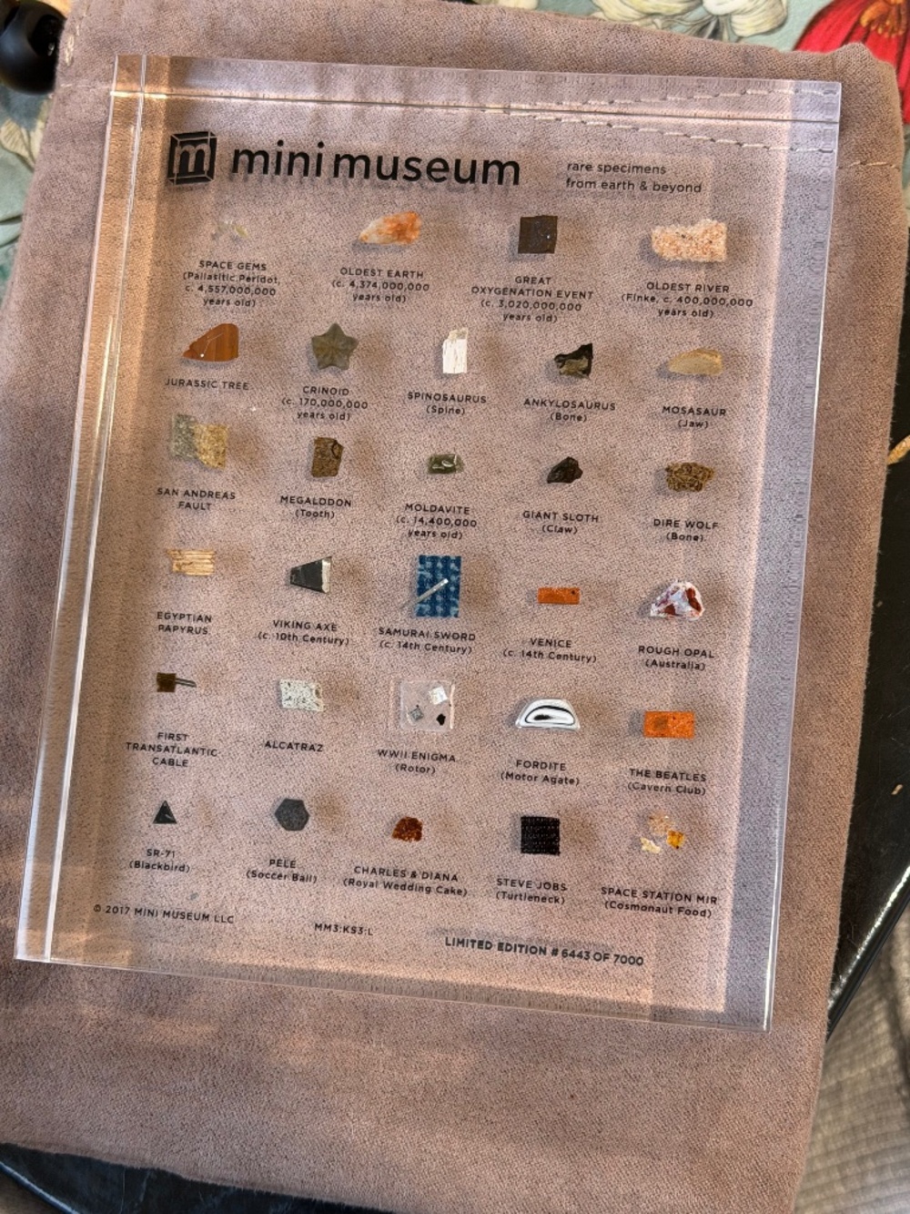 Mini Museum Third Edition Large 29 Specimens Rare Collectible
